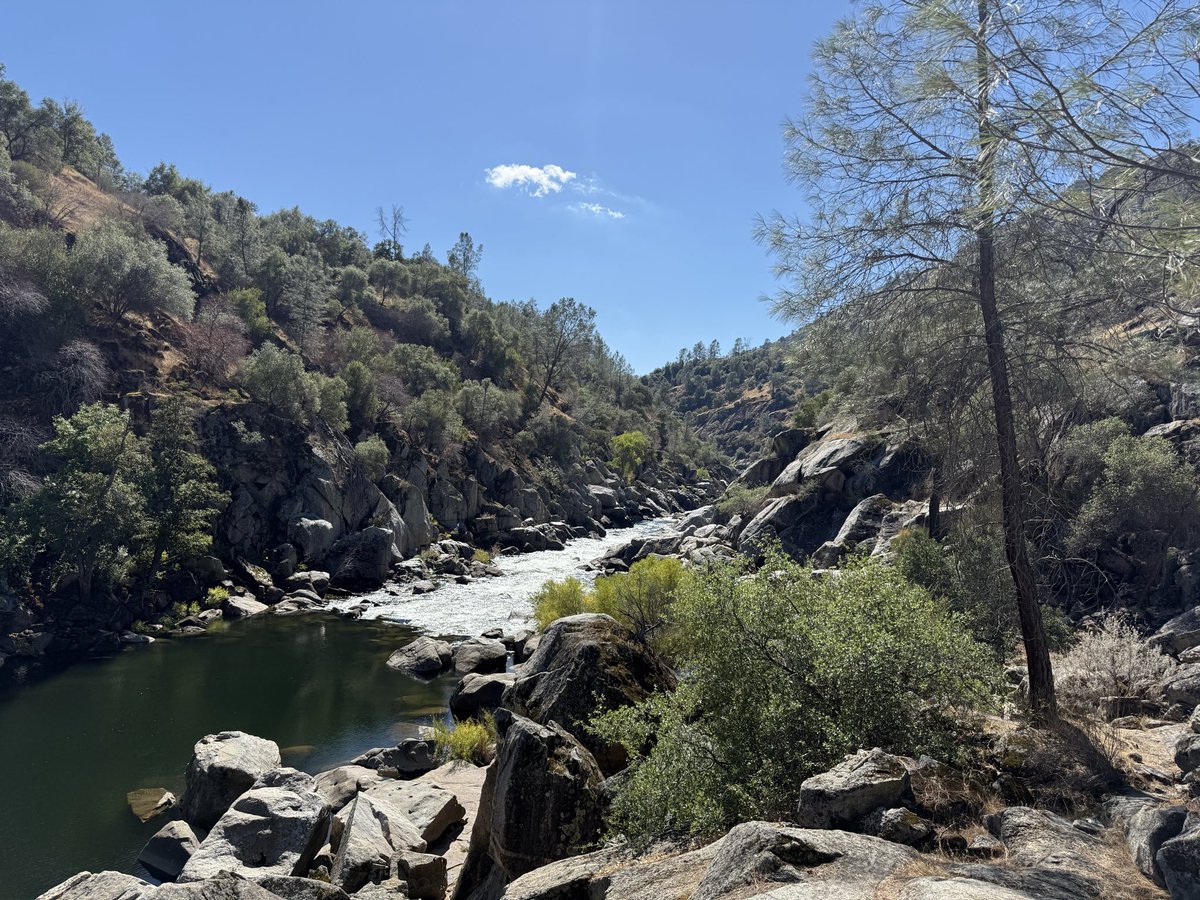 Touch some grass..or water