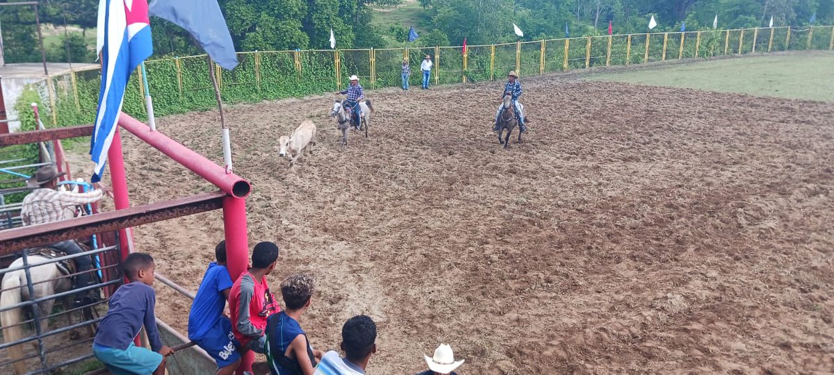 #AnapSantiago:
Con la realización del rodeo en la comunidad "El Oasis" terminó el recorrido de la Bandera 65 aniversario de la constitución de la ANAP en el municipio Santiago de Cuba.
"Con la frente en alto y las manos en la tierra"
#ANAPCuba