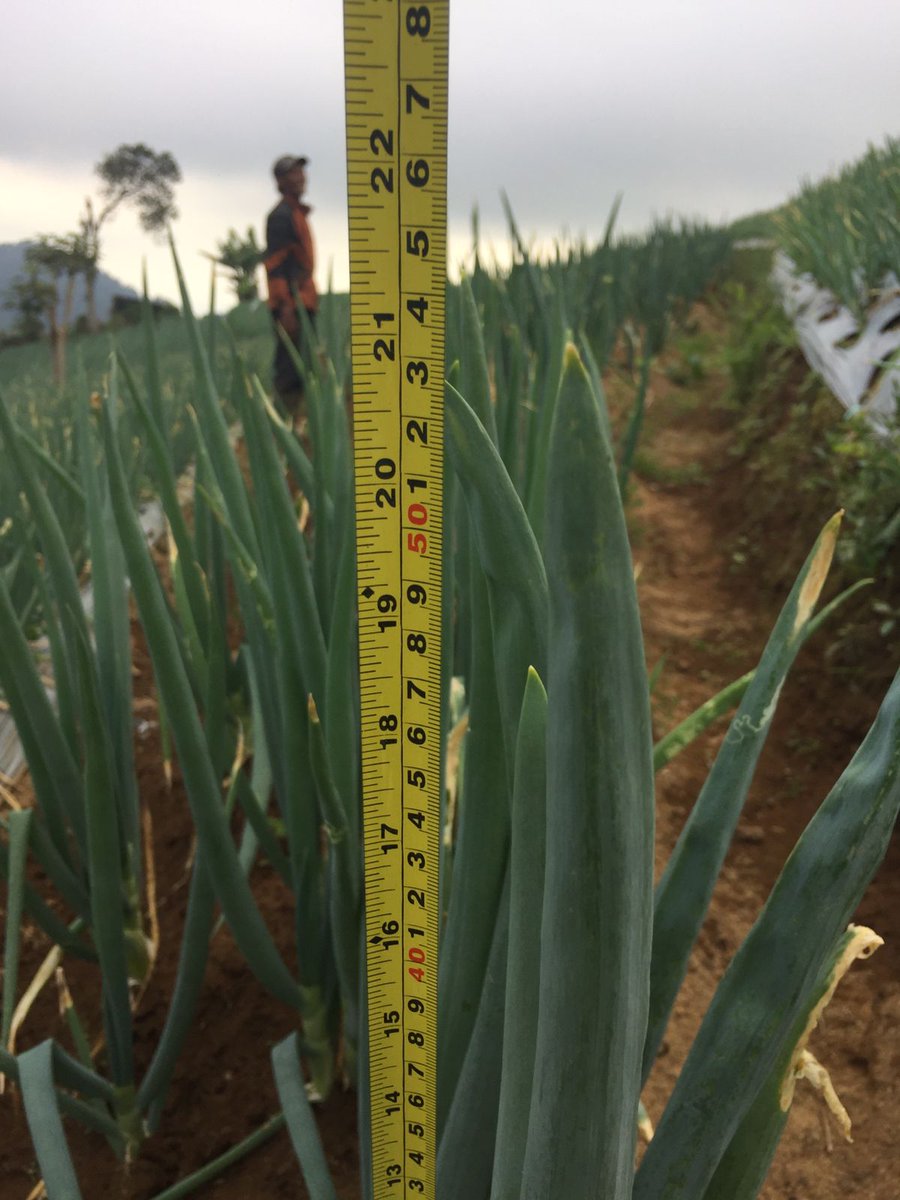 young farmer's tweet media