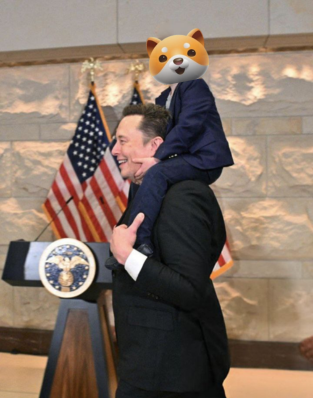 DogefanBaby's tweet image. #BabyDoge doo, doo, doo #ElonMusk