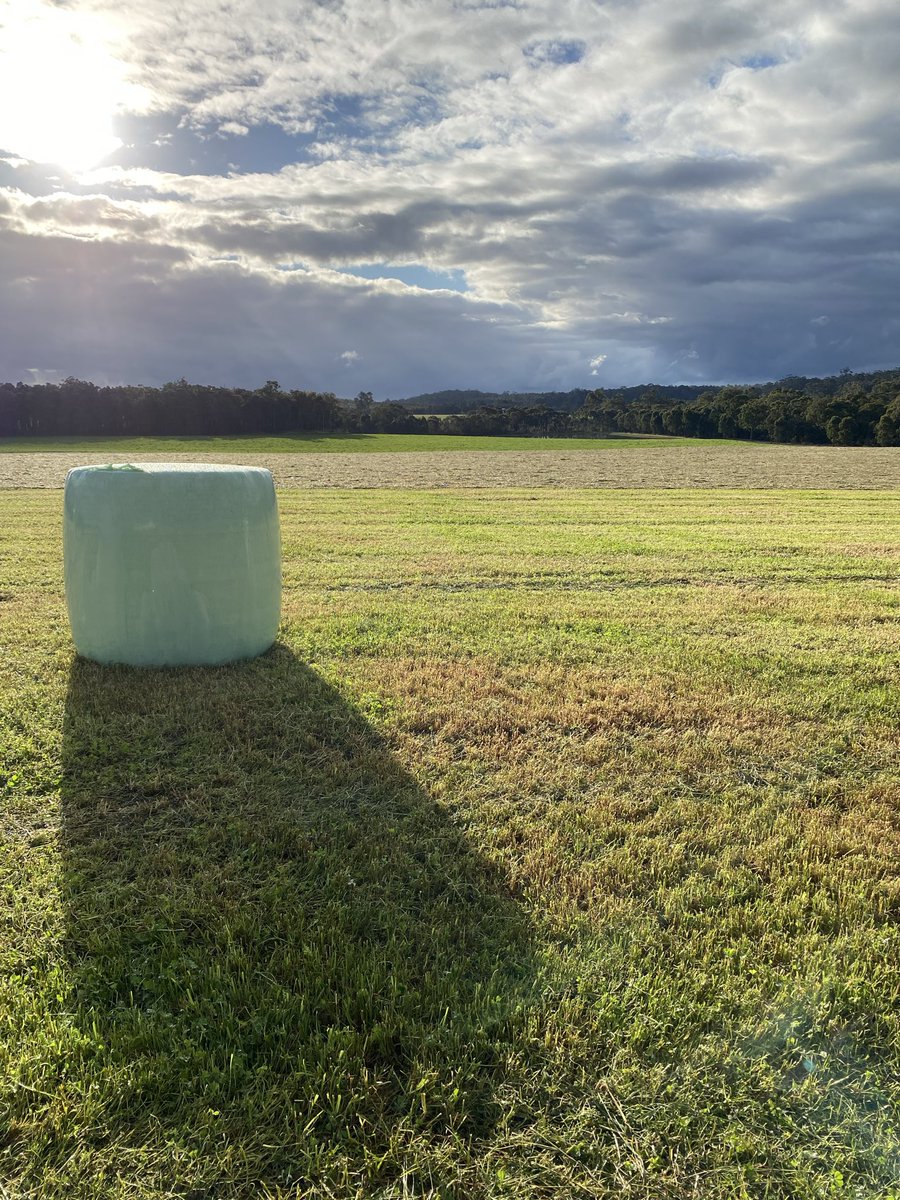 Gotta love silage season!