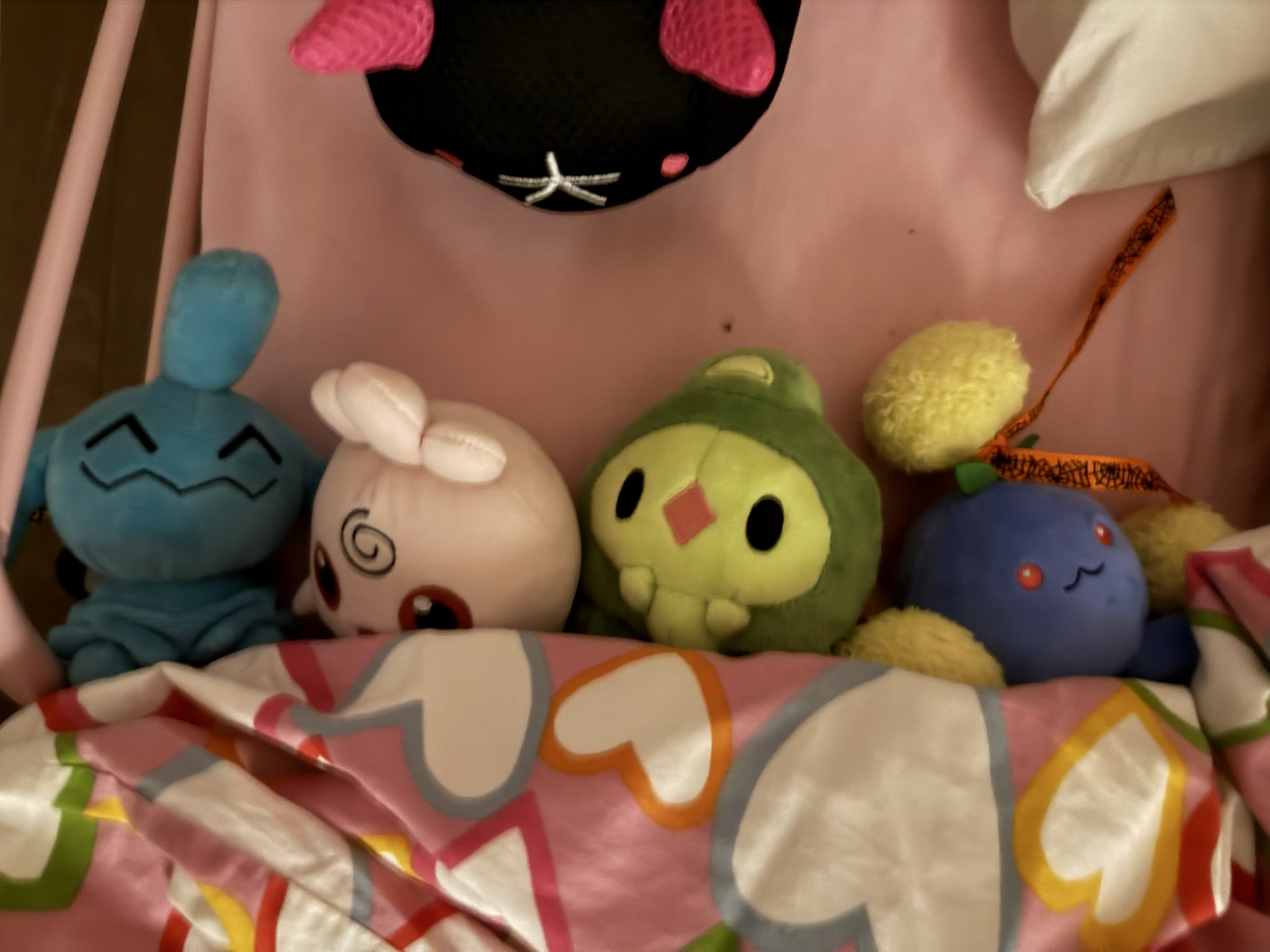 ナマコブシ - Search / X