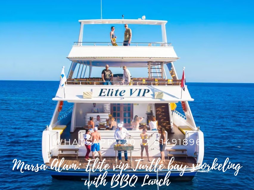 TourGreat149204's tweet photo. Marsa Alam: Elite vip Turtle bay snorkeling with BBQ Lunch.
Explore the extraordinary scenery of the Red Sea coast whilst enjoying numerous benefits built into your day.
WhatsApp:+20 12 81491896
Email:info@tourgreat0.com https://t.co/QZjxXtRenT