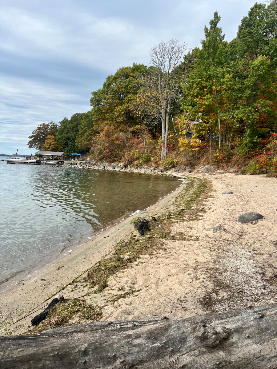 Afar Watch tweet media