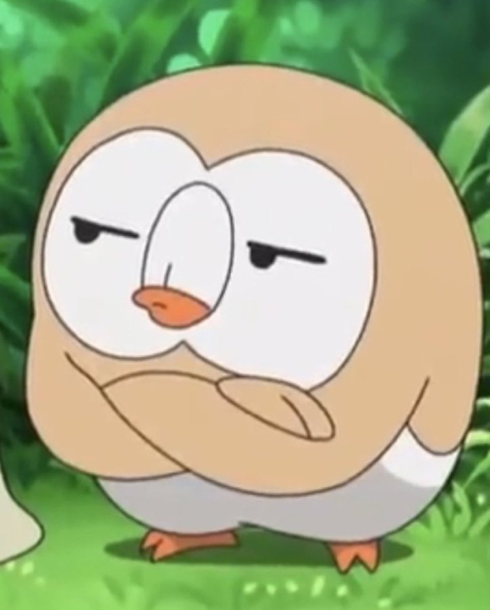 pokemon_twts's tweet photo. Mood https://t.co/UiF1ZaHOOx