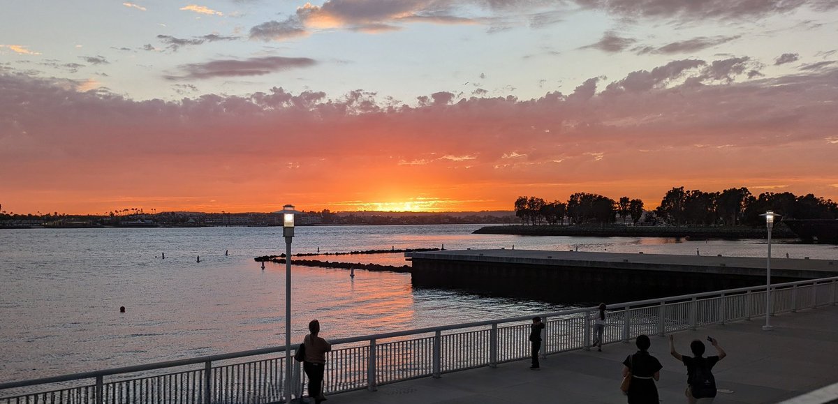 The Puetzer Lab tweet media