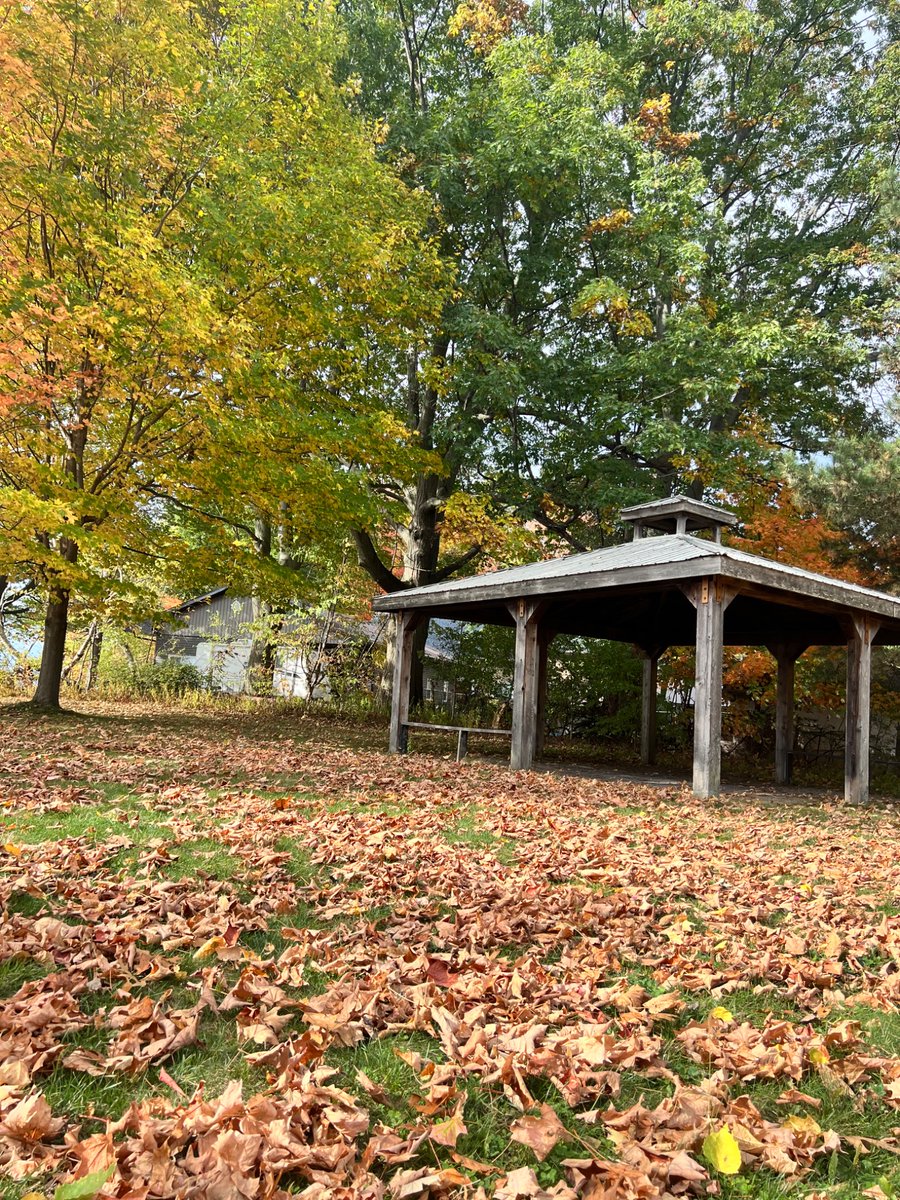 Afar Watch tweet media