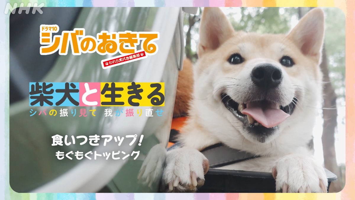 shiba専用ページ 布用下地スプレー にじみガード|ZNG-A/H|商品カタログ