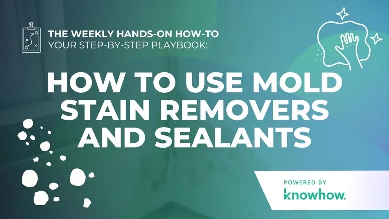 RnRMag's tweet image. This week’s How-To Guide powered by @TryKnowHow is live! 

Learn how to use mold stain removers and sealants efficiently and effectively.

🔗  brnw.ch/21wWypB

#KnowHowRestoration #HowToGuide #MoldRemediation #RestorationTips

Graphics Powered by KnowHow