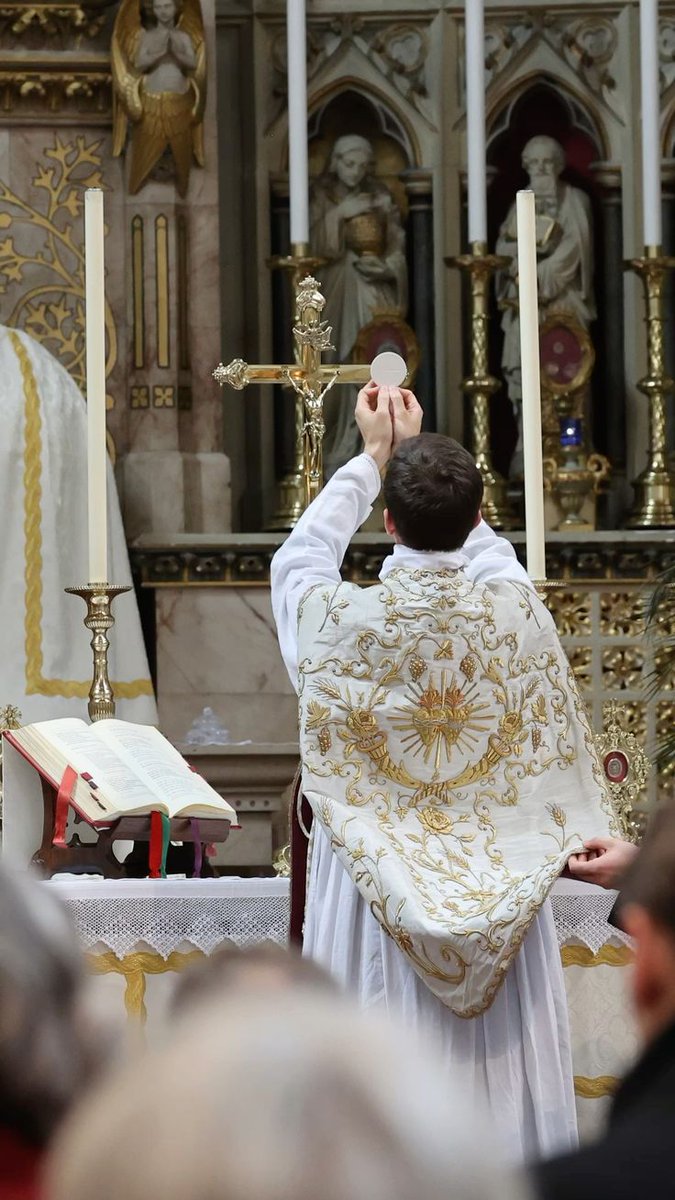 Lamb of God who takes away the sins of the world,
grant us peace 🥺