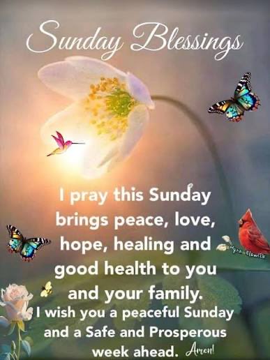 Good Sunday morning family! May God’s love and grace be with you today! Peace and Blessings ❤️🕊️