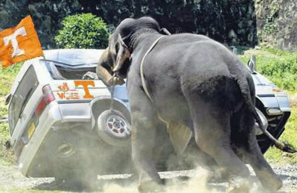 Tennesse Hate Week..