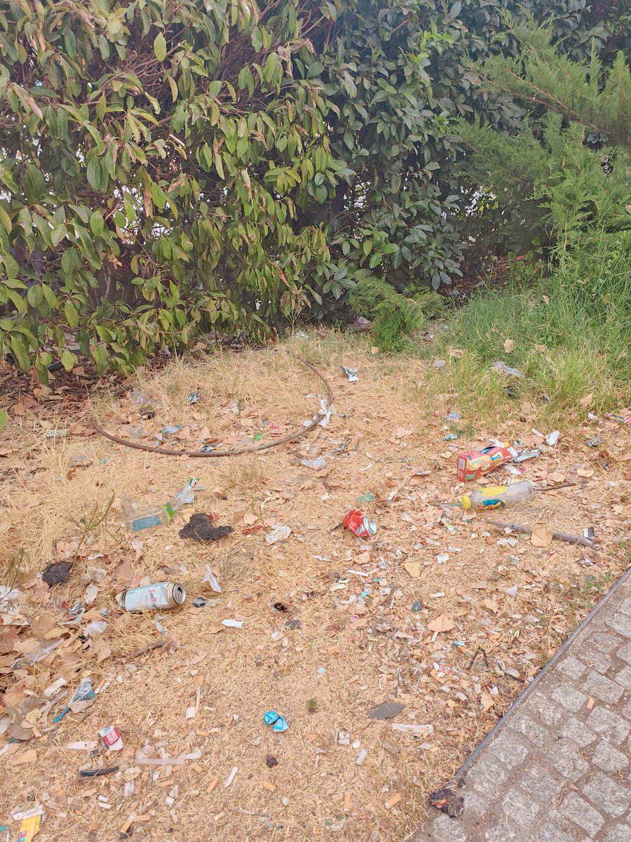 BarAlTag's tweet photo. @Lineamadrid El parque de #skate de #MadridRío, en #Arganzuela, junto a los campos de fútbol, está lleno de #basura. Las papeleras llenas. Es una zona de niñs y jóvenes que necesitan unos espacios salubres. Solicito limpieza urgente y con más asiduidad de la zona. Gracias
#SELUR https://t.co/FC5nD3iVNB