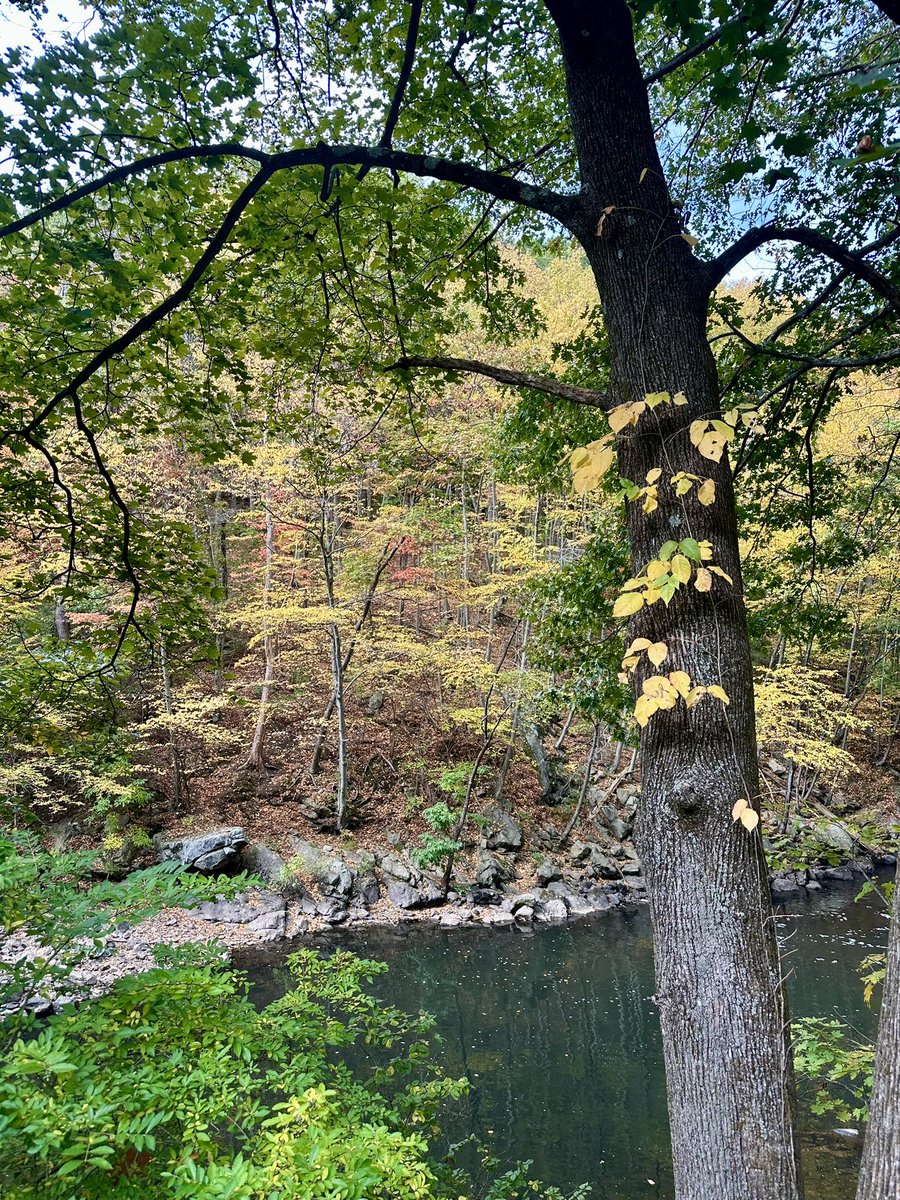 Sevin1376's tweet image. #octobervibes