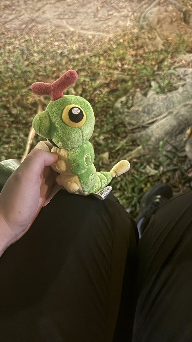 Zilasxo's tweet photo. So im doing a nighttime hike up a mountain and everyone has the full proper hiking kits and I’m just here alone with half a bottle of water and a caterpie 😂 https://t.co/lC2JJMB81K