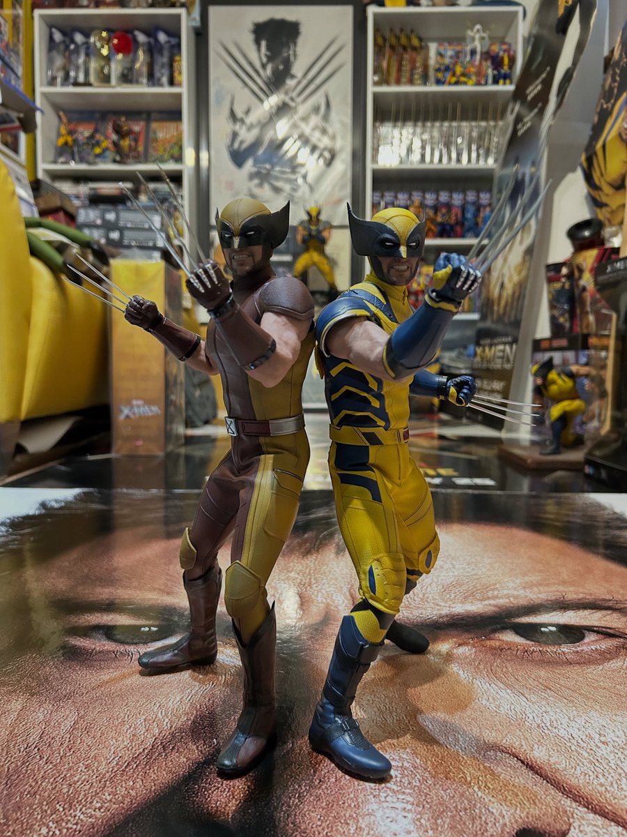WolverSteve's tweet photo. “ BACK TO BACK “ 
🤎🧡 #Classic #JohnByrne Logan in tan and brown and my personal fave the awesome Yellow and blue! 💛💙
#LFG #Wolverine #MarvelUK #Mcu #MarvelStudios #Marvel #Wolversteve #hughjackman #Sideshow #JamesHowlett #Wolverine #SuperFan #Wolveroom #Xmen #Logan #WeaponX #actionfigurescollector @hottoysofficial #PreviouslyOnXmen @collectsideshow