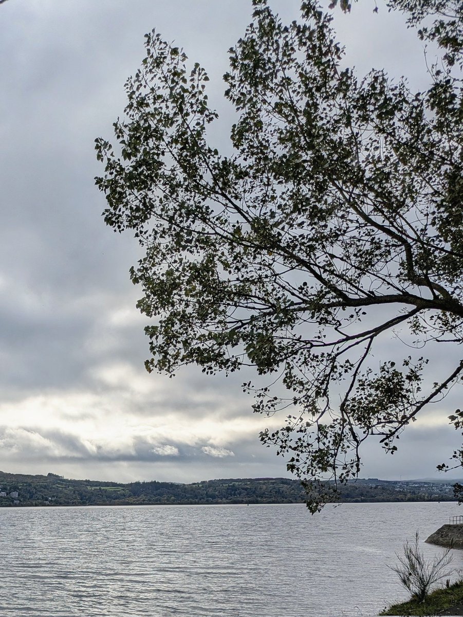 angelo_rules's tweet image. 🍂🍁🥮🌿🌿