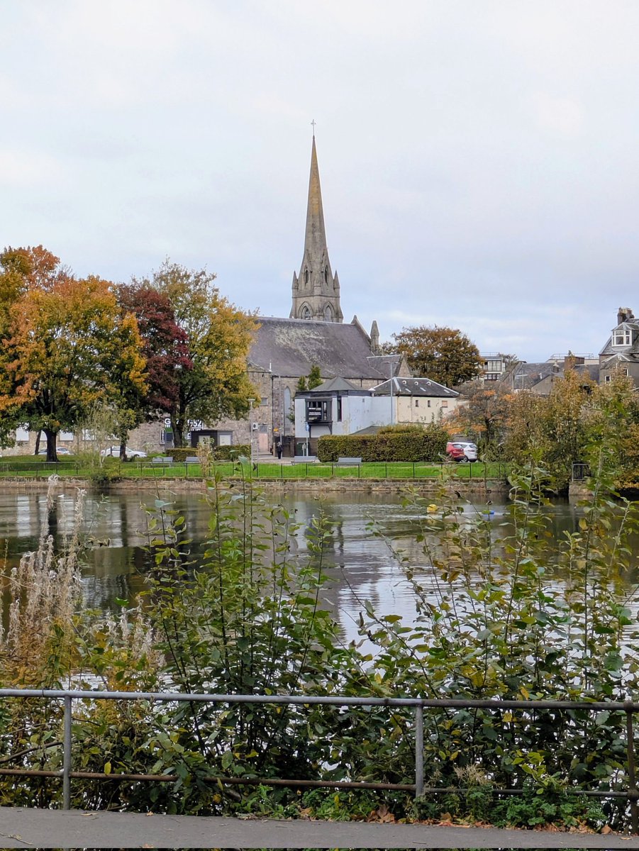 angelo_rules's tweet image. 🍂🍁🥮🌿🌿