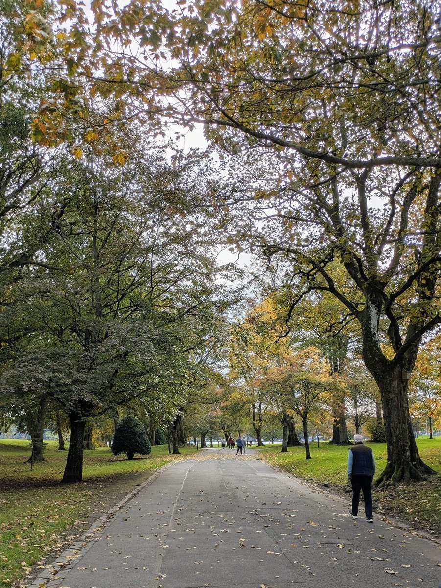 angelo_rules's tweet image. 🍂🍁🥮🌿🌿