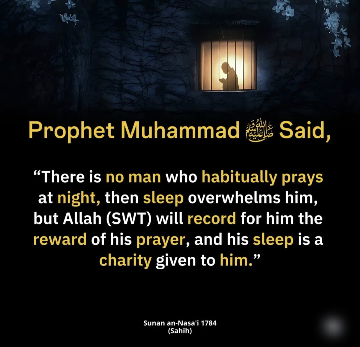 منهاج السنه (@manhajassunnah) on Twitter photo 