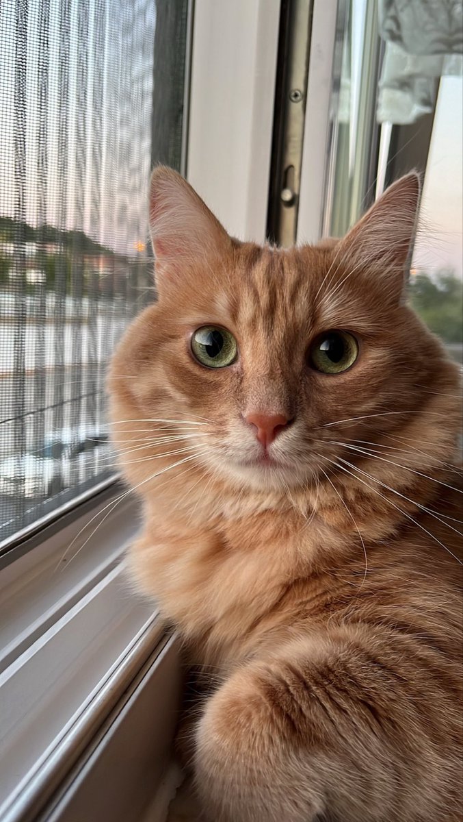 Çok gergin gördüm sizi luna hanım , heralde yağmurdan bu gerginliğin  , anlaşıldı yazı seviyorsun