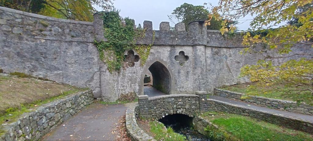 Mick O'Neill tweet media