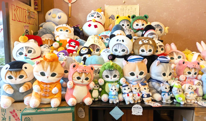 今日は祝日。ですが月曜日。新しい１週間の始まり
美味しい！料理を豊しげで。みなさまのご来店お待ちしております。北野天満宮近く　豊しげ　#豊しげ　#予約制　#鉄火丼　#幕の内弁当　#上ちらし寿司　#会席料理　#京料理　#寿司　#モフサンド