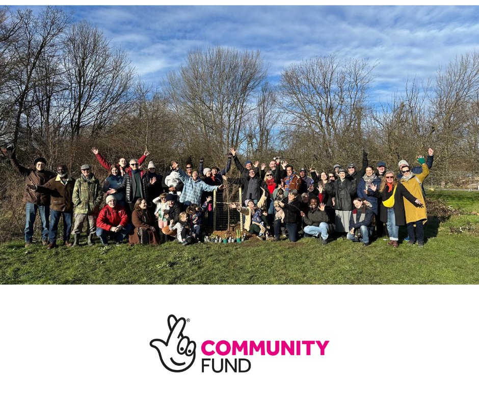 Tree Musketeers tweet media