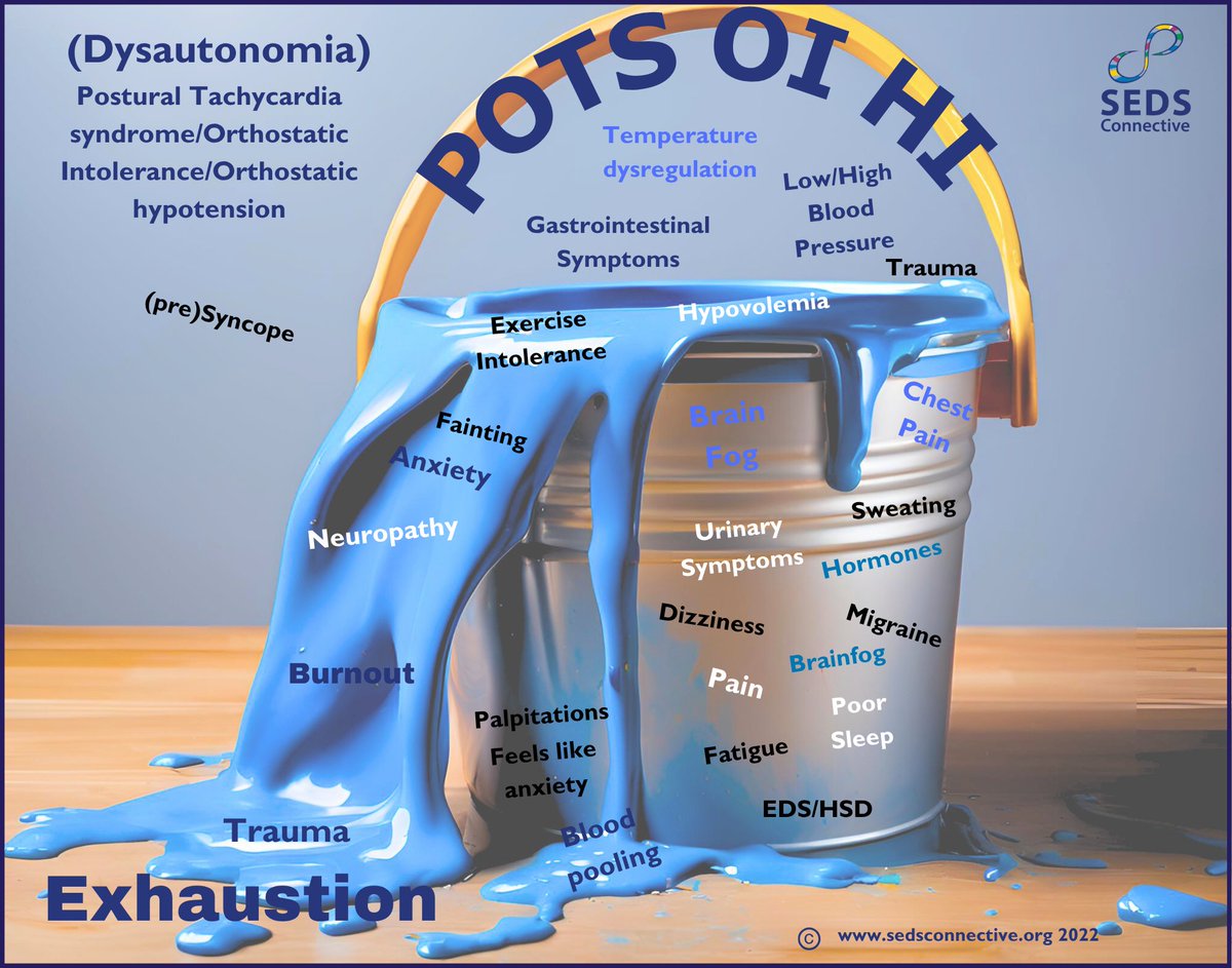 Do you know if you have symptomatic hypermobility you are more likely to have POTS (Postural Tachycardia Syndrome) 

It's Dysautonomia awareness month and POTS is one of the common diagnoses our members have particularly after infections or illness too. This was evident in the