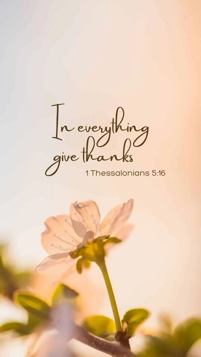 POSITIVITY (@positivitysaid) on Twitter photo 