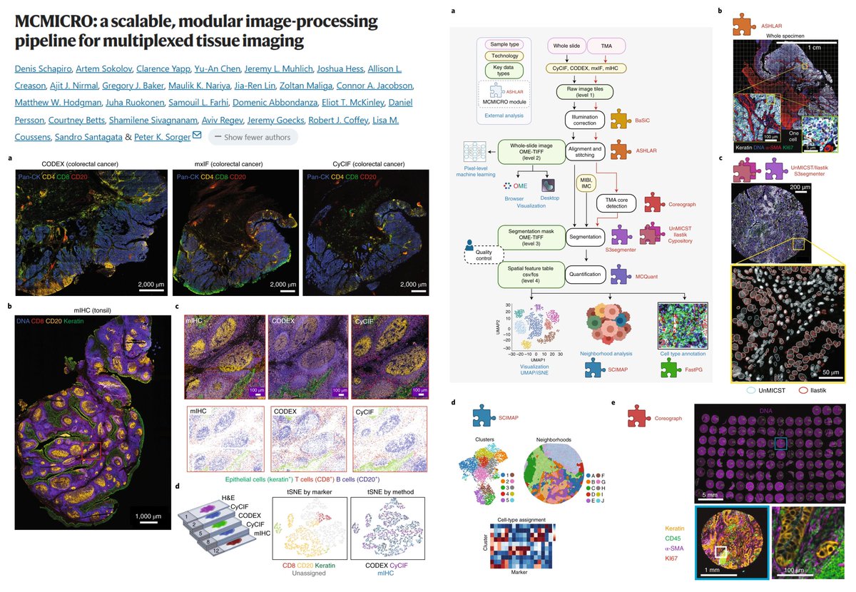 HaoYin20's tweet image. #SpatialOmics
MCMICRO
Multiple Choice Microscopy pipeline
mcmicro.org
Multi-channel whole-slide images▶️
Single-cell data
BaSiC▶️Illumination correction
ASHLAR-▶️Tile stitch & alignment
Coreograph▶️TMA core detection
UnMICST Cypository Ilastik S3segmenter▶️…