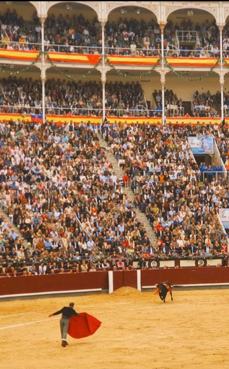 Desde que se anunció el festival soñando con este momento

📸 <a href="/Samsa2111/">El Pasmo</a> (vaya fotón, por cierto)