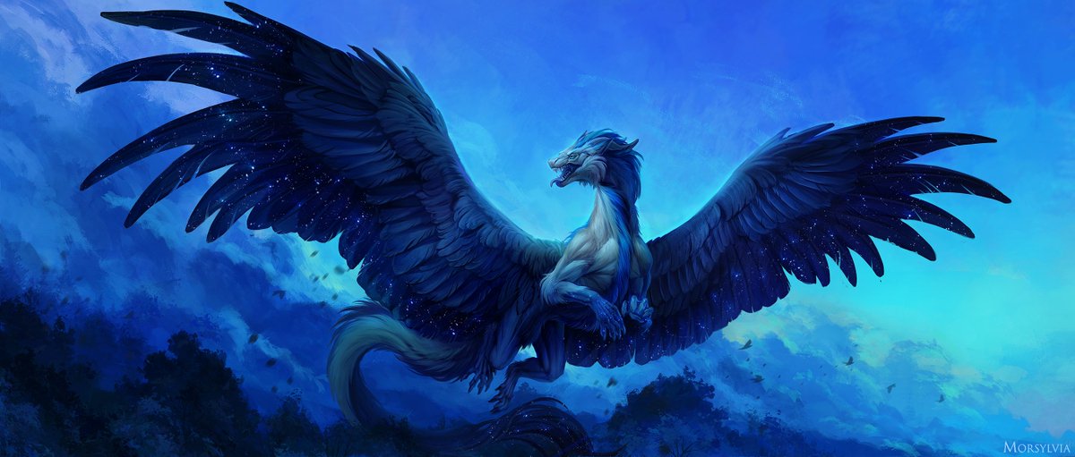 Morsylvia ✨🦋 tweet media