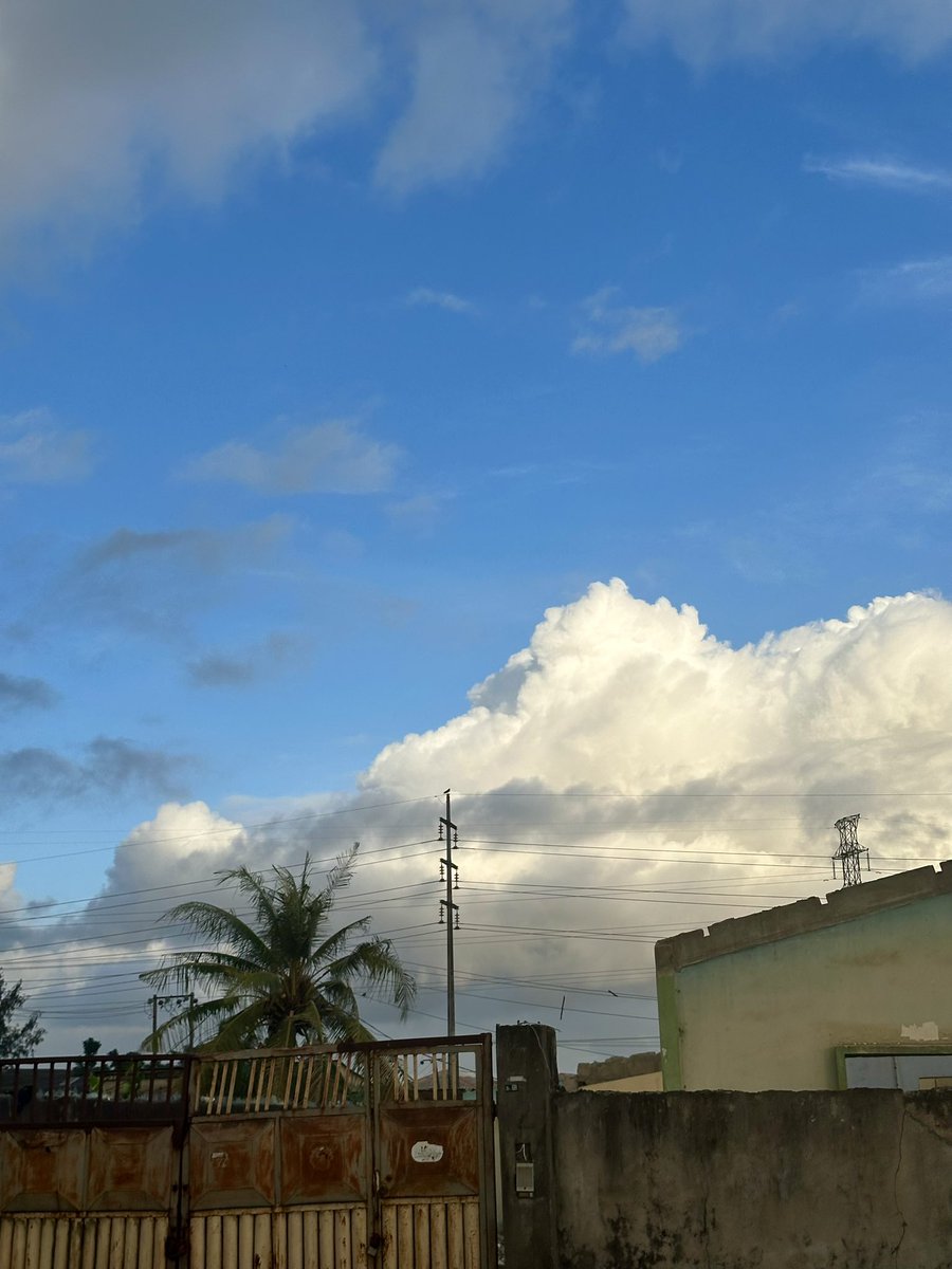 Shutabug's tweet image. Sunday blues.