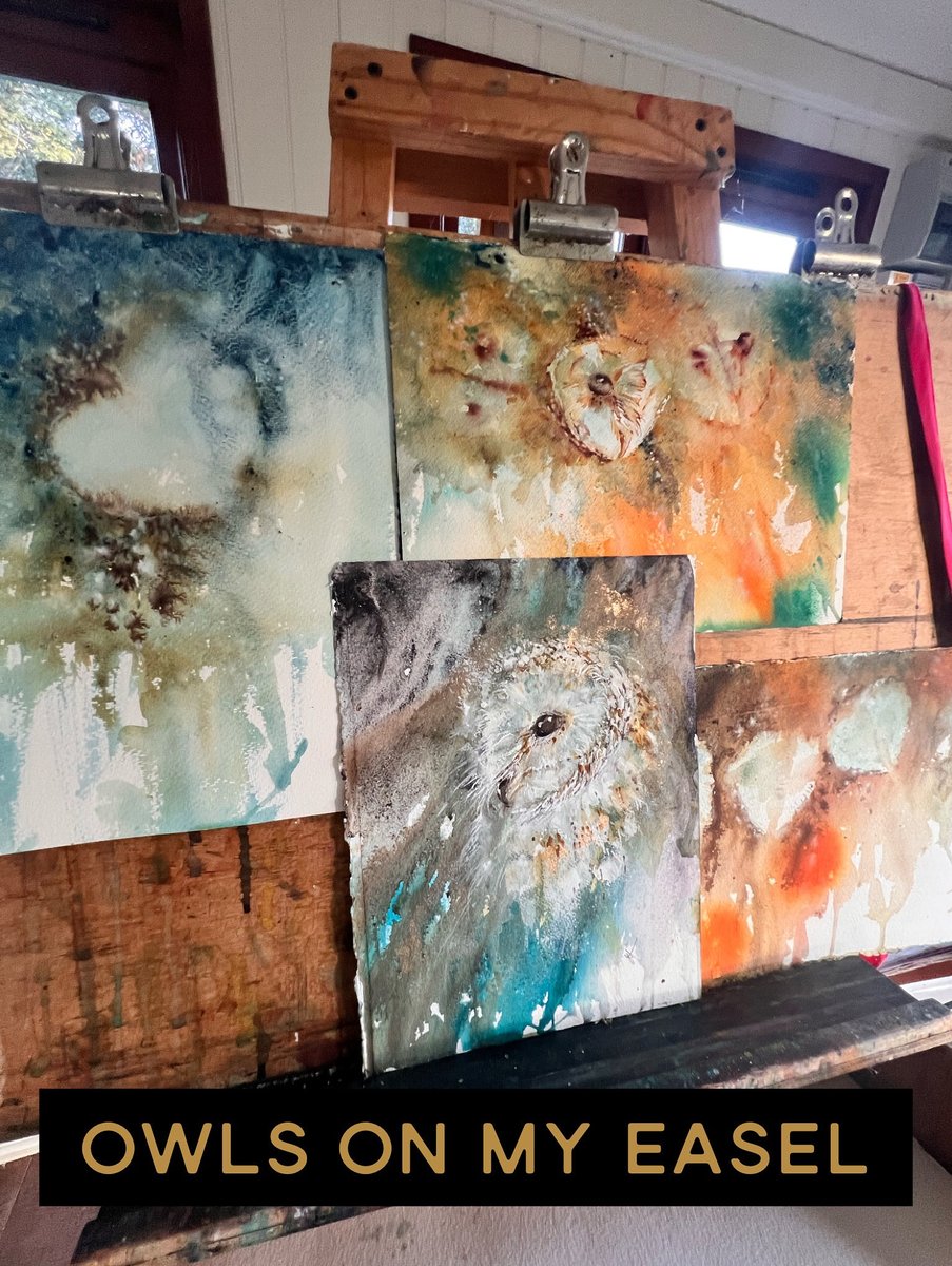 JeanHaines's tweet image. Owls on my easel inspired by my latest online tutorial #art  #create  #owl