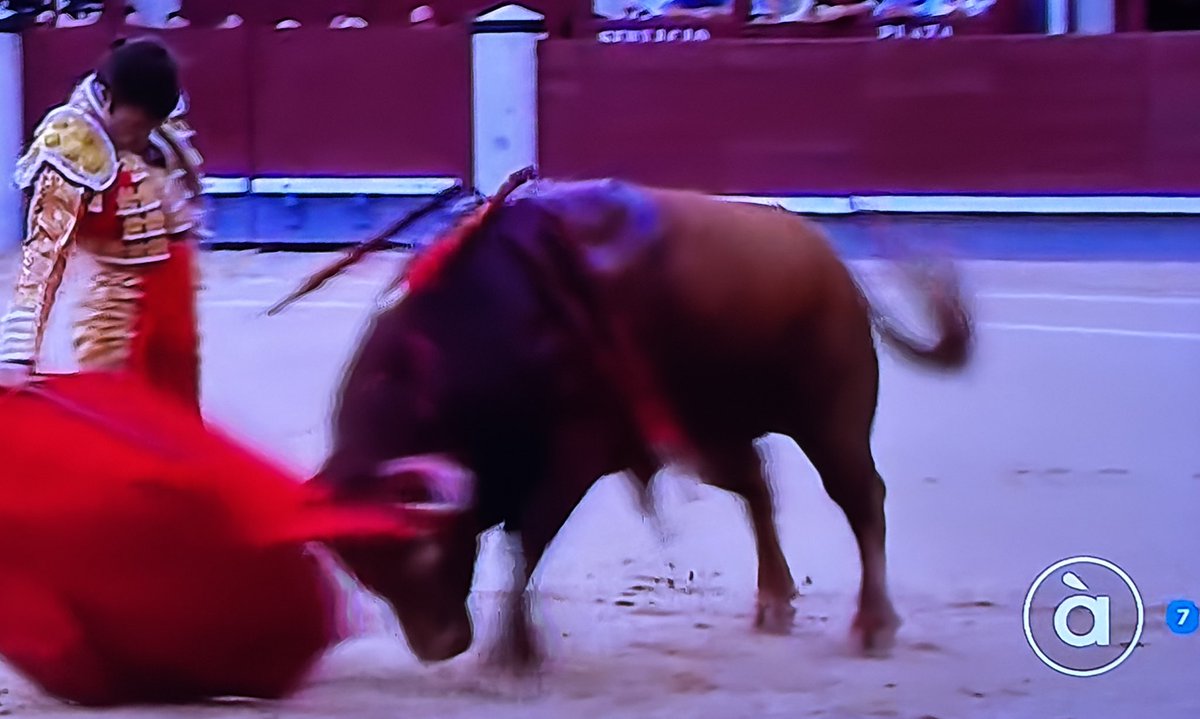 Georgina 🇵🇸 tweet media