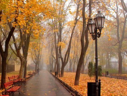 Катерина Галич tweet media