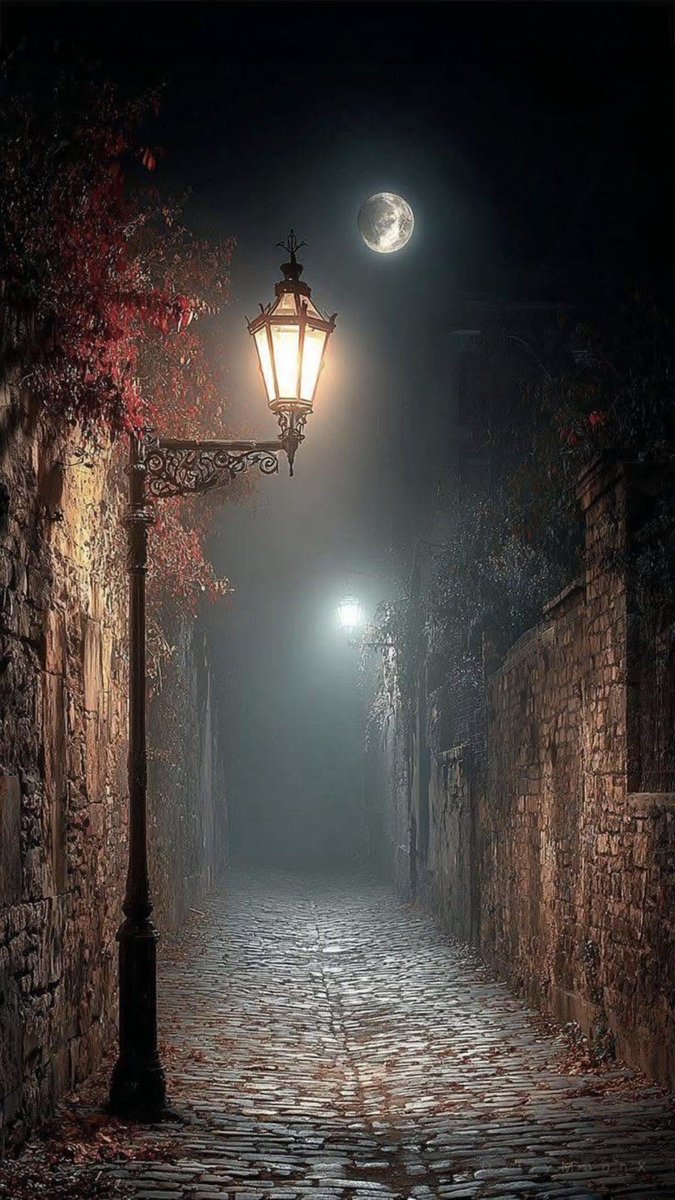 a foggy night