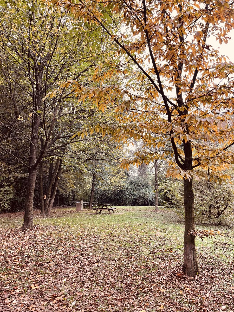 Cla_86Cla's tweet photo. Mood della domenica:
Raccogliere castagne 🌰🍁🍂 https://t.co/ofDEhpe3Or