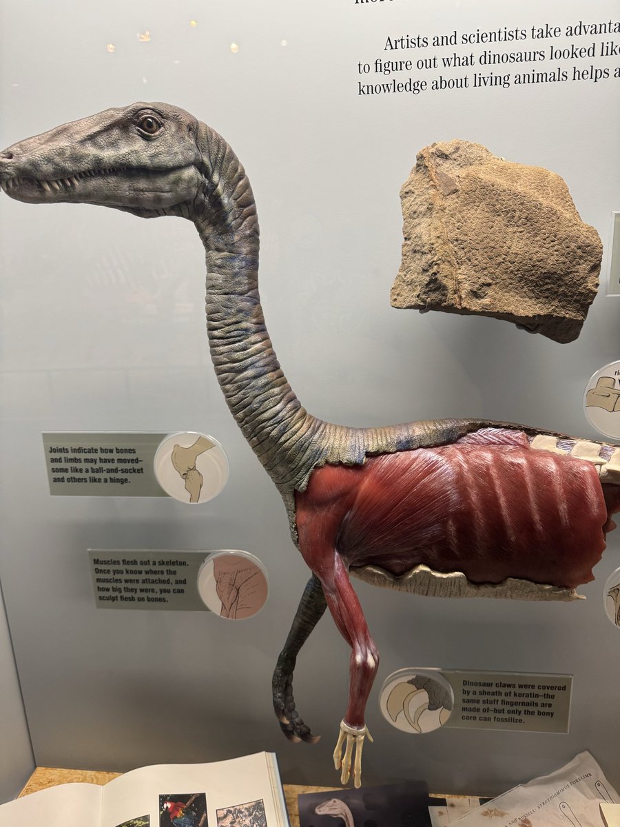 2_Potato's tweet image. Denver