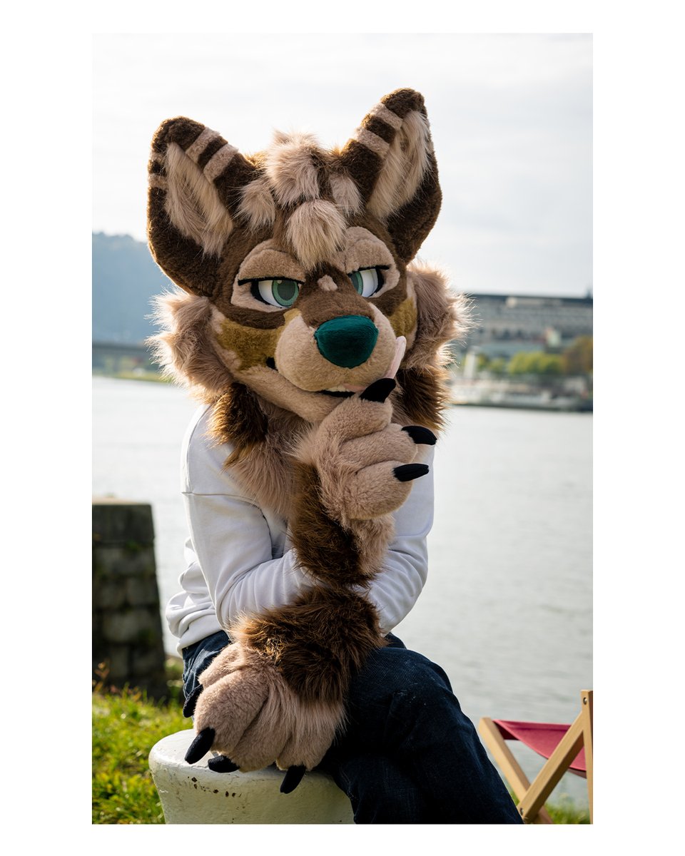 Last Saturday I visited the #LinzFursuitwalk for a chill afternoon.

I took the chance to take a few #fursuit pictures of my own suit.

Thank you to my partner <a href="/HatiTheWusky/">Háti</a> for being an excellent model for me. 💙

📸 Done by me
©️ CC-BY-NC-ND