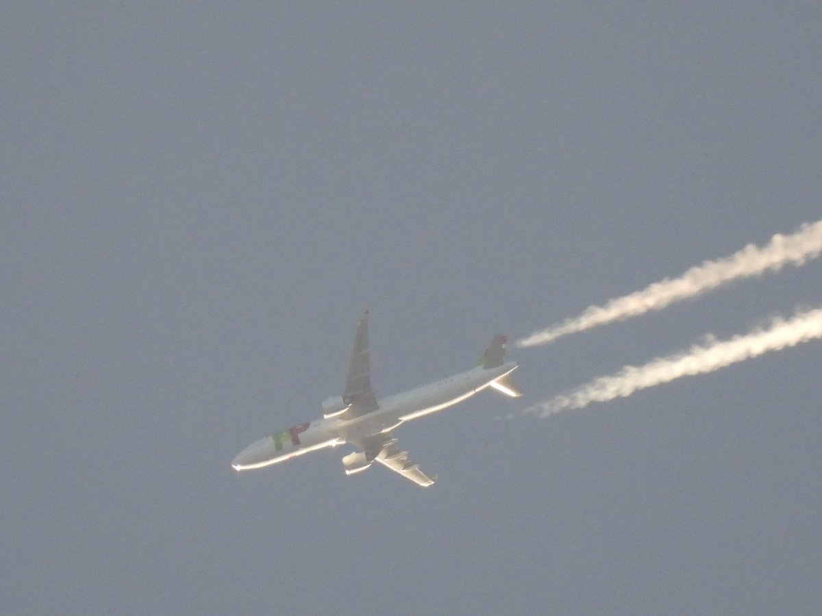 Air'Perche tweet media