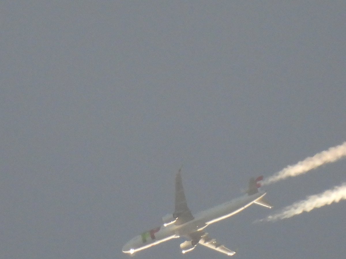 Air'Perche tweet media