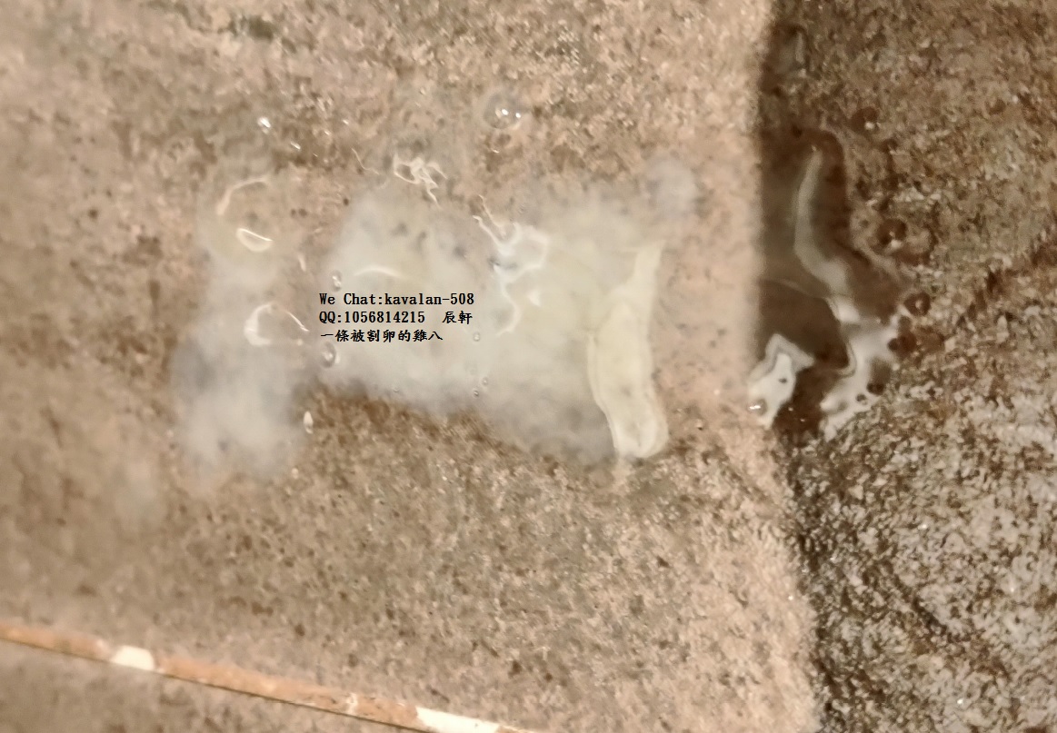 cut my egg tweet media