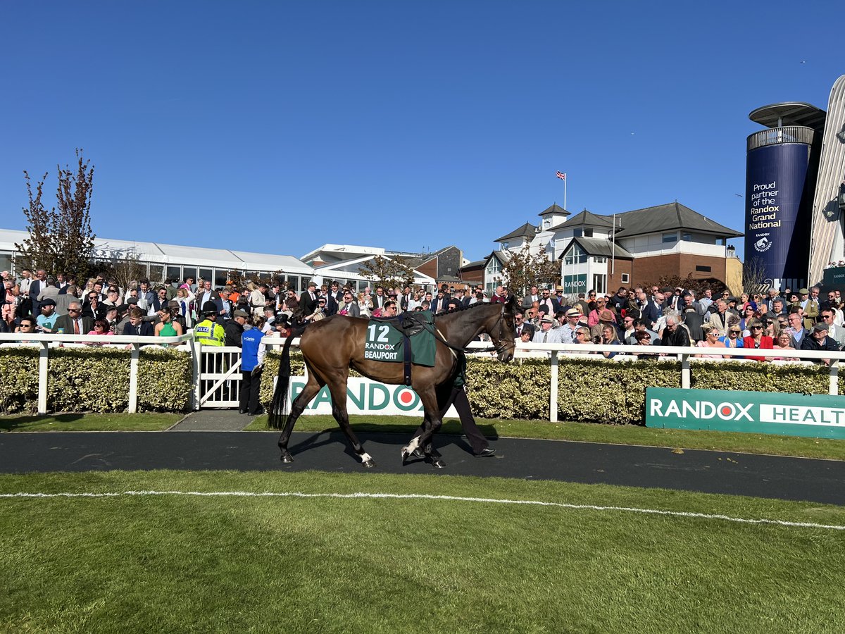 Yesterday we got up early and headed down to <a href="/willy_twiston/">Willy Twiston-davies</a> to see Beauport and High Treason on the gallops. Beauport has been eating acorns out in a field and gave <a href="/Shulton_Fay/">Fay Shulton</a> a fright with his urine blood coloured. Has since been turned out in to a different actor free field.