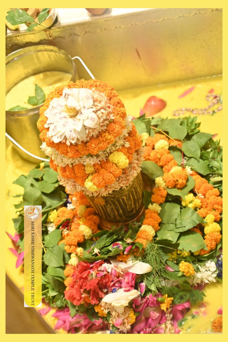 ShriVishwanath's tweet image. आज श्री काशी विश्वनाथ जी की सप्तऋषि आरती I
#kashivishwanath #kashi #sanatandharma #banaras