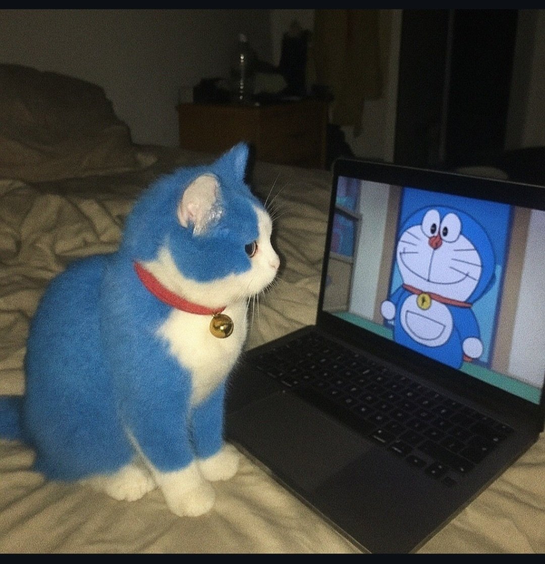 Thepetsonly's tweet photo. https://t.co/YuaZmPfbWp