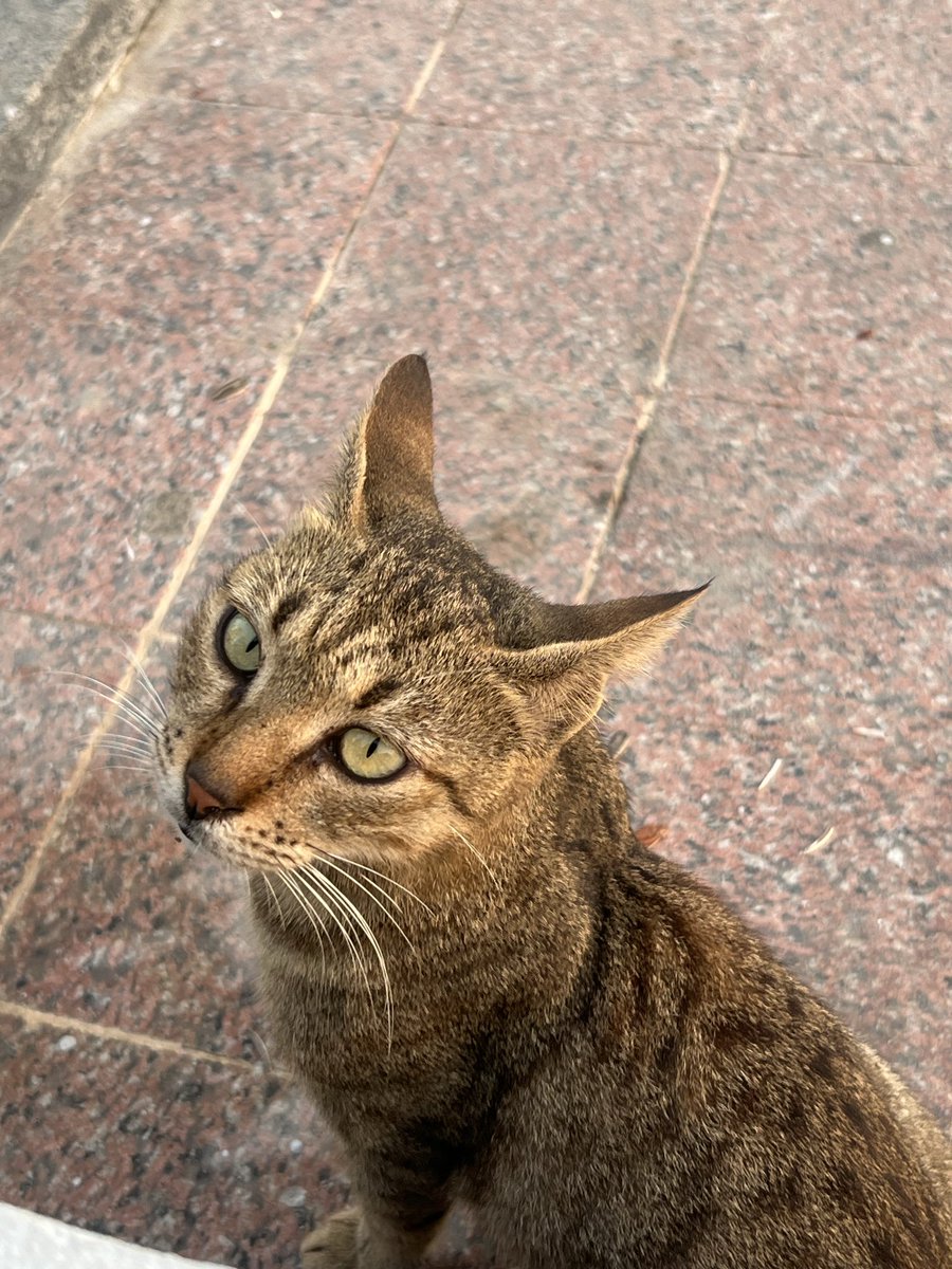 كوّنت صديق جديد