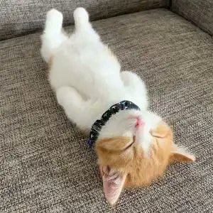 Nick1Sol's tweet photo. 躺平不是放弃，
只是选择了平静而不是压力。
有时候什么都不做，
反而是一种自由。

0x5070e6a6c08bb88a8c5e5548c258bbe222424444 https://t.co/Eahu880EUu