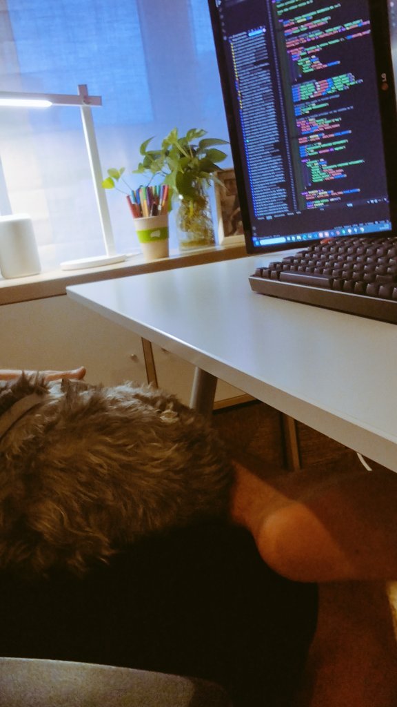 arocamorman's tweet image. Pensaba que el pair-programming era otra cosa. 🐶💤👨‍💻
#SideProject
#Python
